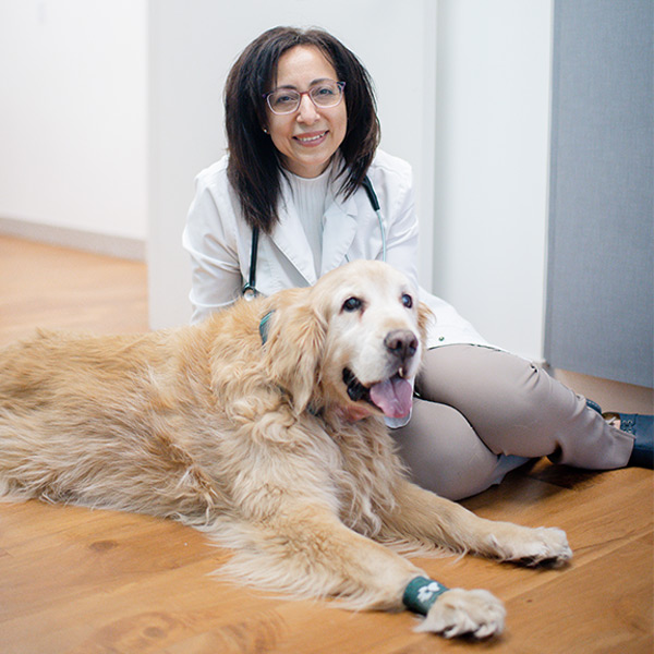 doctor hallina el ghazawi sitting with golden retriever