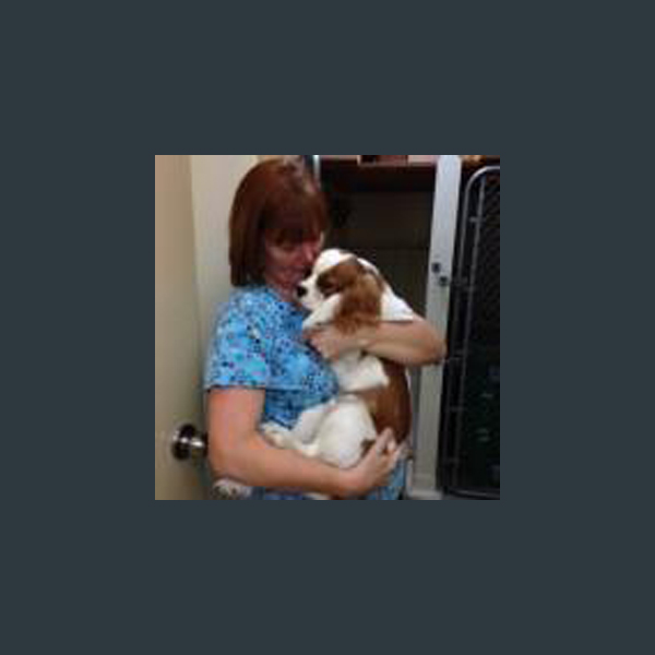 debbie animal care attendant